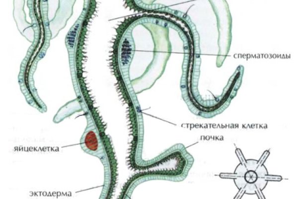 Ссылка на кракен kr2web in