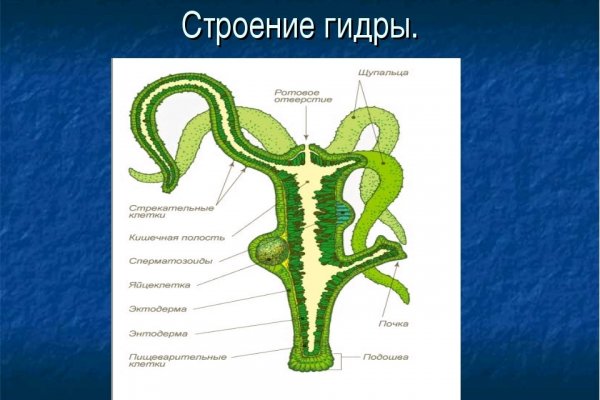 Кракен черный сайт